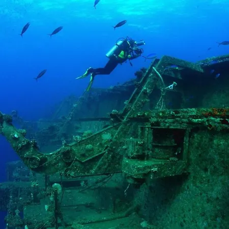 公寓 Perfect Location New 阿尔布费拉