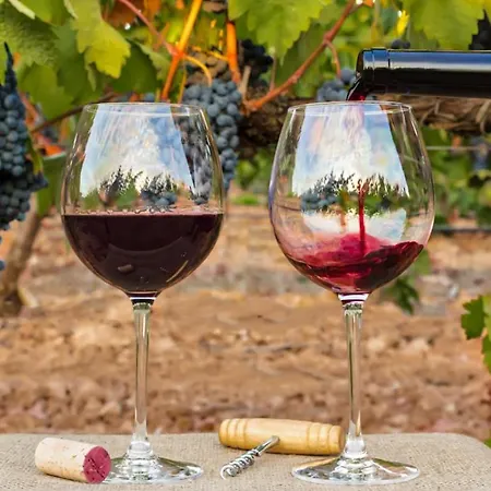 Perfect Location New