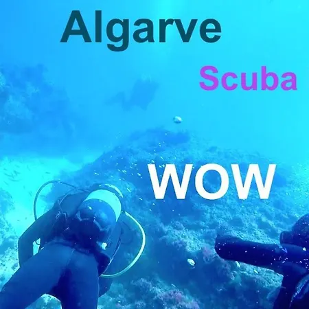 公寓 Perfect Location New 阿尔布费拉