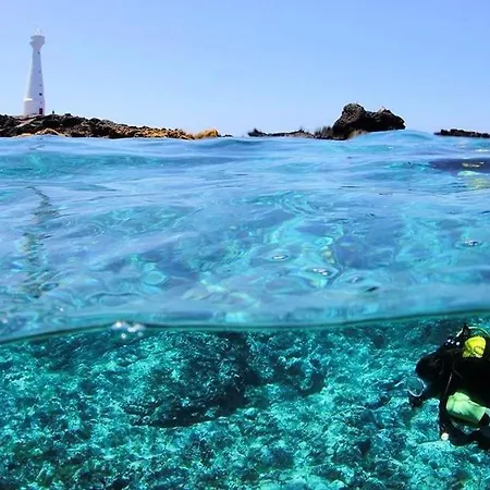 公寓 Perfect Location New 阿尔布费拉