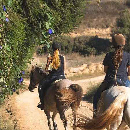 Διαμέρισμα Perfect Location New *